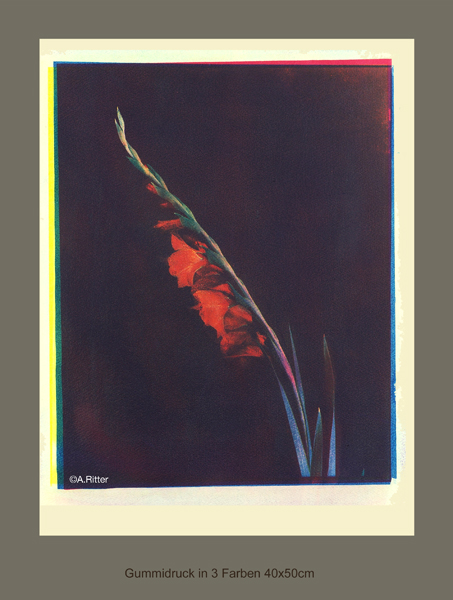 FLOWER2