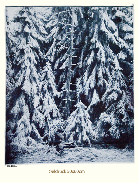 Oeldruck3